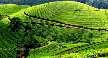 Beautiful 7 Days 6 Nights Coorg Tour Package