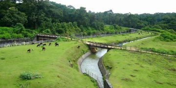 5 Days Mysore to Kodaikanal Romantic Trip Package