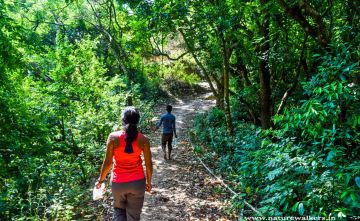 5 Days 4 Nights Bangalore, Madikeri, Mysore and Coorg Vacation Package