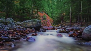 Best 2 Days Kasol Romantic Tour Package