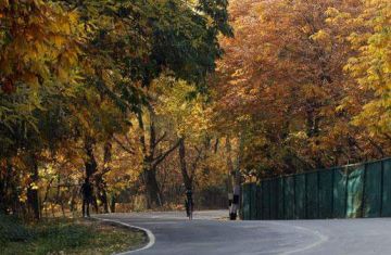 Ecstatic 5 Days Srinagar to Sonamarg Luxury Trip Package