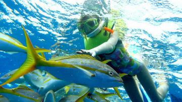 Best 5 Days Port Blair Romantic Holiday Package