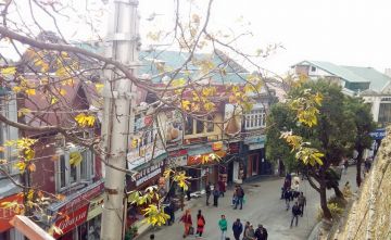 Experience Naldehra Hill Stations Tour Package for 3 Days