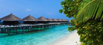 Magical 4 Days 3 Nights Port Blair Island Tour Package