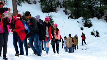 6 Days 5 Nights Shimla, Manali, Kufri and Rohatang Pass Hill Stations Trip Package