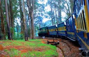 Ooty Friends Tour Package for 4 Days