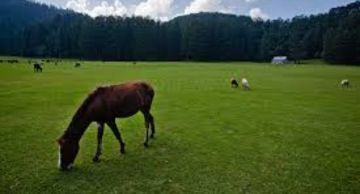 Family Getaway 6 Days Dharamshala Holiday Package