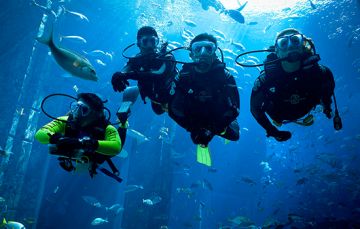 Best Havelock Island Tour Package for 5 Days