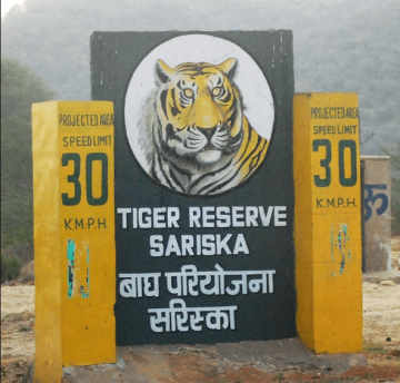 Beautiful Sariska Tiger Reserve Tour Package for 2 Days 1 Night
