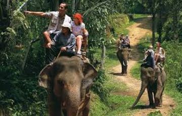 Cochin-Periyar-Cochin Tour Package for 3 Days 2 Nights from Kochi