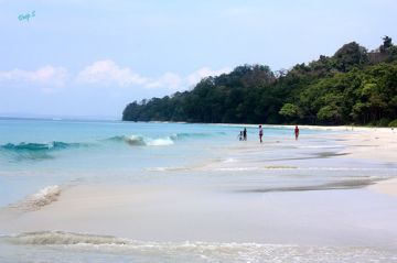 HAVELOCK ISLAND Wildlife Tour Package from Port Blair