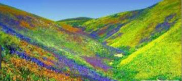 7 Days 6 Nights Rishikesh Wildlife Holiday Package