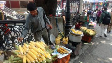 3 Days 2 Nights Mussoorie to Dhanaulti Weekend Getaways Trip Package