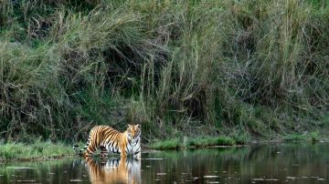Ecstatic 4 Days Guwahati to Kaziaranga National Park Trip Package