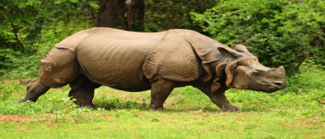 Heart-warming Shillong Tour Package from Guwahati