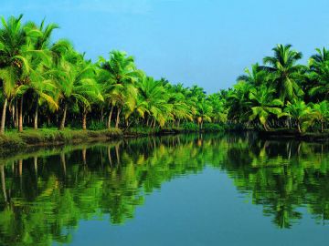 7 Days 6 Nights Munnar, Thekkady, Alleppey with Kovalam Vacation Package