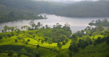 Magical 4 Days 3 Nights Munnar Family Trip Package