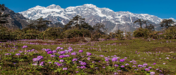 Amazing 4 Days Gangtok Romantic Tour Package
