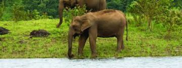 Magical 6 Days Kochi to Munnar Friends Vacation Package