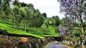 Experience 4 Days Coonoor Historical Places Trip Package