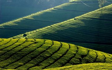 Experience 4 Days Coonoor Historical Places Trip Package