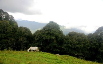 Amazing 4 Days SHIMLA Trip Package