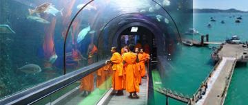 Bangkok Pattaya 4N/5D Package