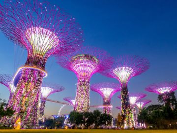 Singapore & Bintan Experience