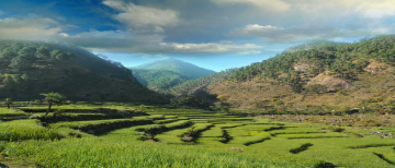 Magical Haridwar Tour Package for 3 Days from Mussorie