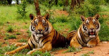 Magical 3 Days 2 Nights Nainital Wildlife Tour Package