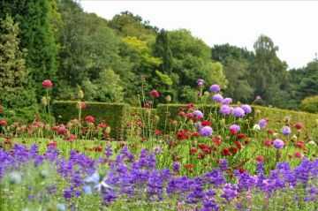 Magical 3 Days Nainital Romantic Trip Package