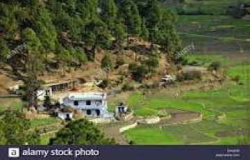 Binsar Munsiyari & Kausani Package  6 Nights 7 Days