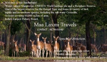 Heart-warming 2 Days Gosaba Forest Holiday Package