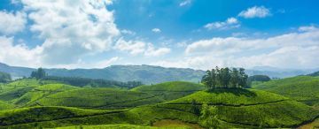 4 Days 3 Nights Cochin with Munnar Hill Stations Tour Package