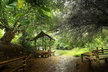 Ecstatic 3 Days 2 Nights Cochin with Munnar Holiday Package