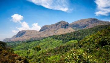 Cochin, Munnar with Alleppey Tour Package for 5 Days 4 Nights