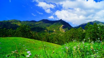 Memorable 3 Days Cochin with Munnar Romantic Holiday Package