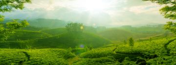 Munnar Romantic Tour Package for 4 Days