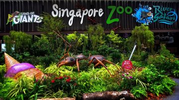 Best 7 Days 6 Nights Singapore Friends Tour Package