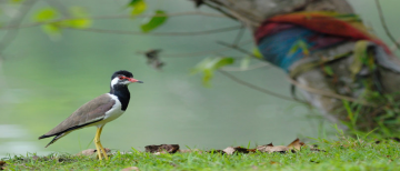 3 Days Delhi to Bharatpur Holiday Package