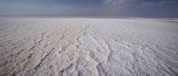 Experience 3 Days 2 Nights Rajkot with Gir Weekend Getaways Trip Package