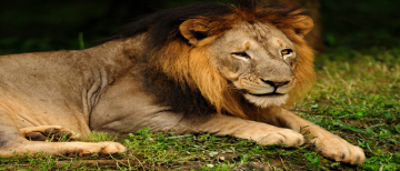 Amazing 3 Days 2 Nights Rajkot Weekend Getaways Tour Package