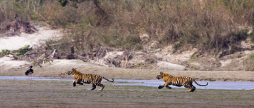 Amazing 3 Days Umaria to Bandhavgarh National Park Tour Package