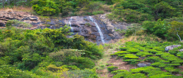 Amazing 3 Days 2 Nights Pondicherry Tour Package