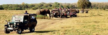 Beautiful 7 Days Delhi to Sri Lanka Wildlife Holiday Package