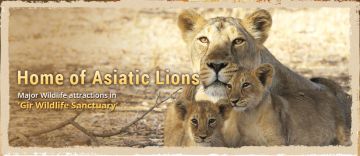 4 Days Ahmedabad, Akshardham, Sasan Gir and Diu Water Sport Trip Package
