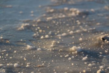 3 Days 2 Nights Bhuj, Rann Of Kutch, Kutch and Whtie Rann Wildlife Vacation Package