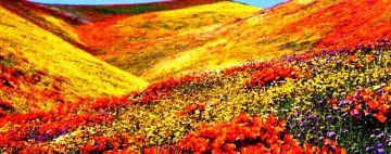 Heart-warming 6 Days Haridwar to Nandaprayag Trip Package