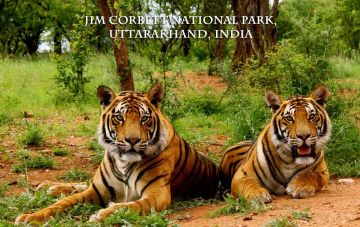 Magical 3 Days 2 Nights Delhi with Jim Corbett National Park Weekend Getaways Trip Package