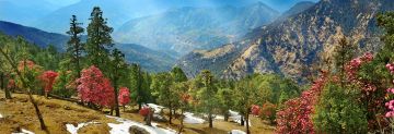 Family Getaway 3 Days 2 Nights Almora Holiday Package